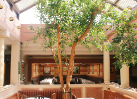 little oasis to host your function